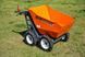 Міні самоскид DUMPER D250 D250-00 фото 1